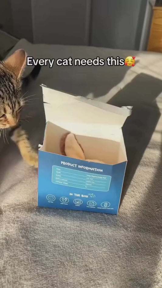Flapping Cat Toy